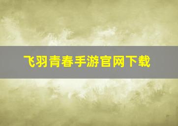 飞羽青春手游官网下载