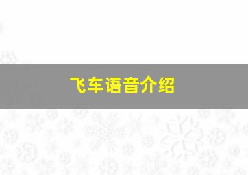 飞车语音介绍