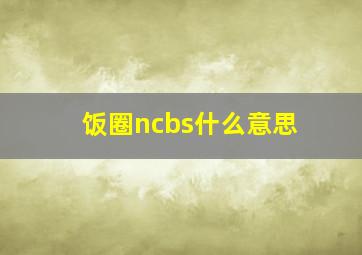 饭圈ncbs什么意思