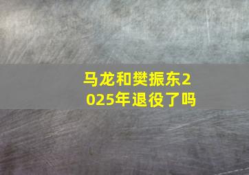 马龙和樊振东2025年退役了吗