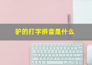 驴的打字拼音是什么