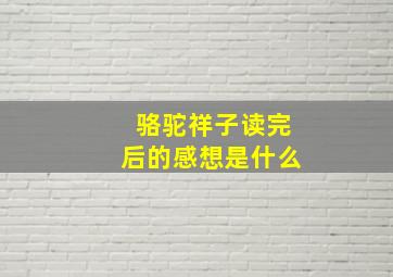 骆驼祥子读完后的感想是什么