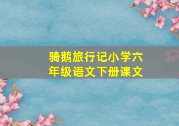 骑鹅旅行记小学六年级语文下册课文