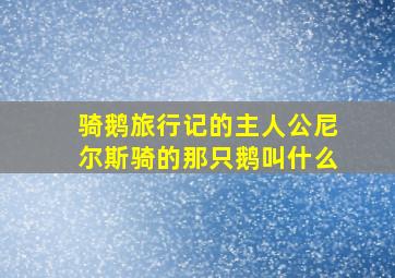 骑鹅旅行记的主人公尼尔斯骑的那只鹅叫什么