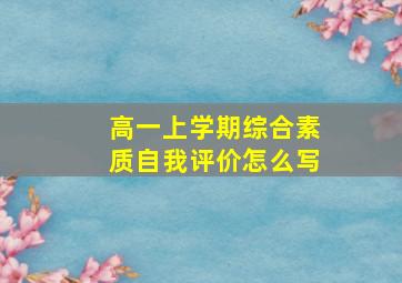 高一上学期综合素质自我评价怎么写