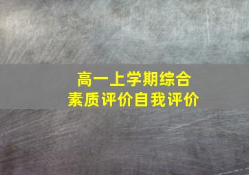 高一上学期综合素质评价自我评价