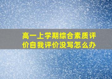 高一上学期综合素质评价自我评价没写怎么办