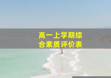 高一上学期综合素质评价表