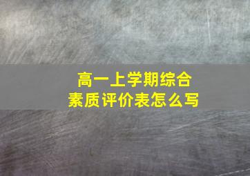 高一上学期综合素质评价表怎么写