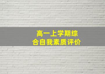 高一上学期综合自我素质评价