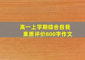 高一上学期综合自我素质评价800字作文