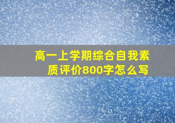 高一上学期综合自我素质评价800字怎么写