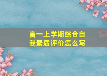 高一上学期综合自我素质评价怎么写