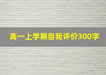 高一上学期自我评价300字