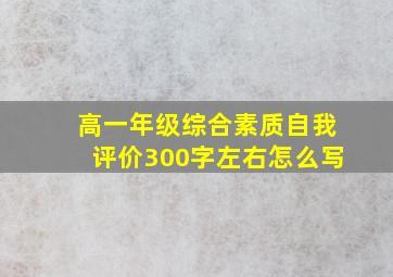 高一年级综合素质自我评价300字左右怎么写