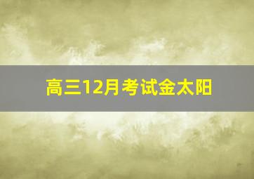 高三12月考试金太阳