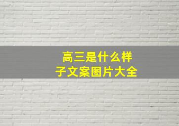 高三是什么样子文案图片大全