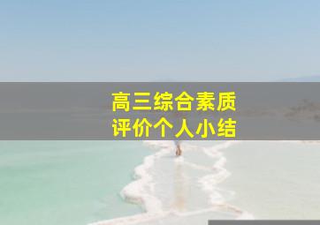 高三综合素质评价个人小结