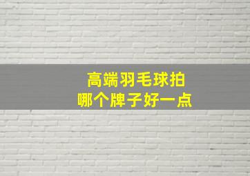 高端羽毛球拍哪个牌子好一点