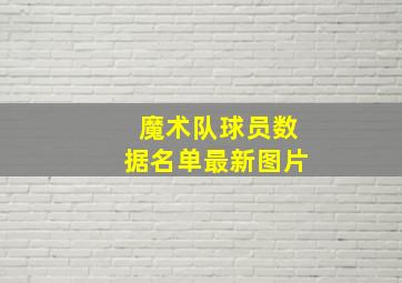 魔术队球员数据名单最新图片