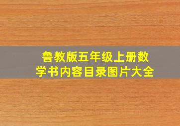 鲁教版五年级上册数学书内容目录图片大全