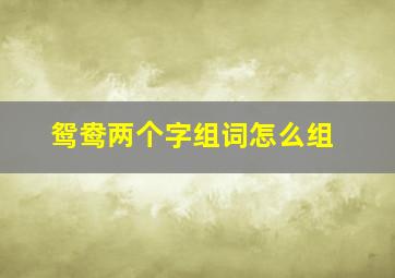 鸳鸯两个字组词怎么组