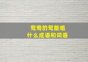 鸳鸯的鸳能组什么成语和词语