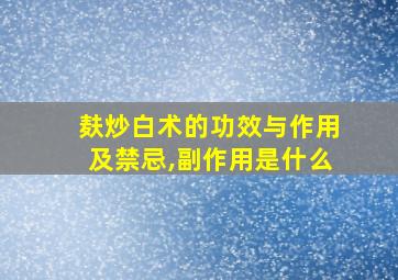 麸炒白术的功效与作用及禁忌,副作用是什么