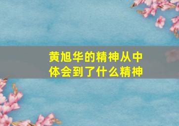 黄旭华的精神从中体会到了什么精神