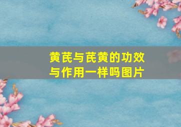 黄芪与芪黄的功效与作用一样吗图片