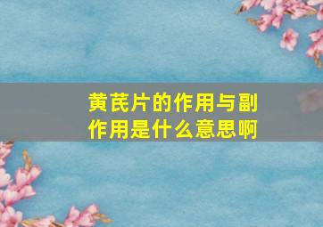 黄芪片的作用与副作用是什么意思啊