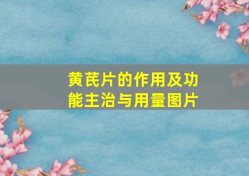 黄芪片的作用及功能主治与用量图片