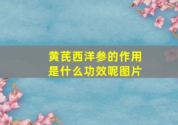 黄芪西洋参的作用是什么功效呢图片