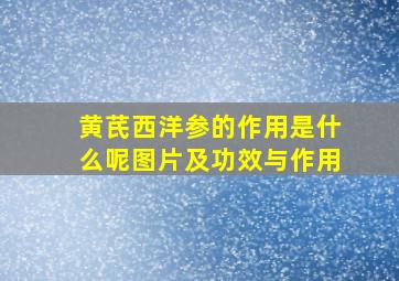 黄芪西洋参的作用是什么呢图片及功效与作用