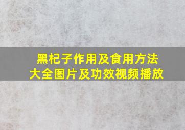 黑杞子作用及食用方法大全图片及功效视频播放