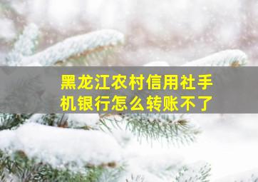 黑龙江农村信用社手机银行怎么转账不了