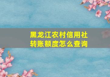 黑龙江农村信用社转账额度怎么查询