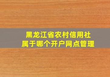 黑龙江省农村信用社属于哪个开户网点管理