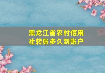 黑龙江省农村信用社转账多久到账户