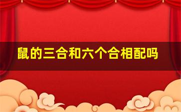 鼠的三合和六个合相配吗