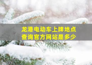 龙港电动车上牌地点查询官方网站是多少