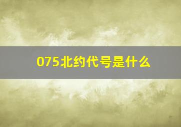 075北约代号是什么