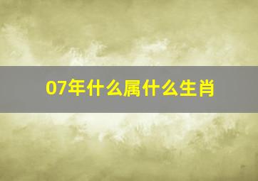 07年什么属什么生肖