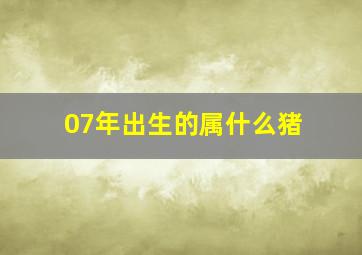 07年出生的属什么猪