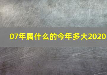 07年属什么的今年多大2020