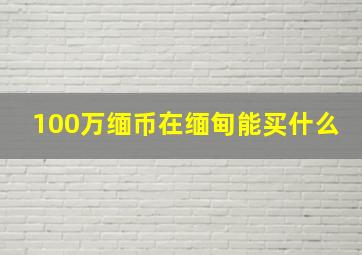 100万缅币在缅甸能买什么