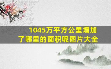 1045万平方公里增加了哪里的面积呢图片大全