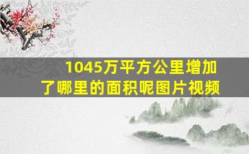 1045万平方公里增加了哪里的面积呢图片视频