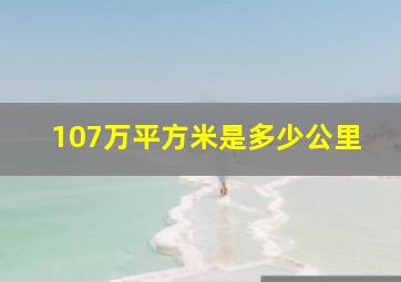 107万平方米是多少公里