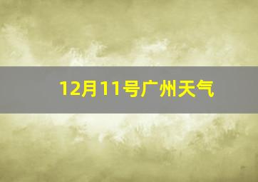 12月11号广州天气